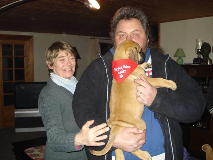 Boerboel Boelsplaas Zeus - 26-03-08. Mine tidlige ejer, Lis og Frank (Tøf) siger tak for denne gang, og held og lykke med det nye sted. Vi ses igen :-) billede 5