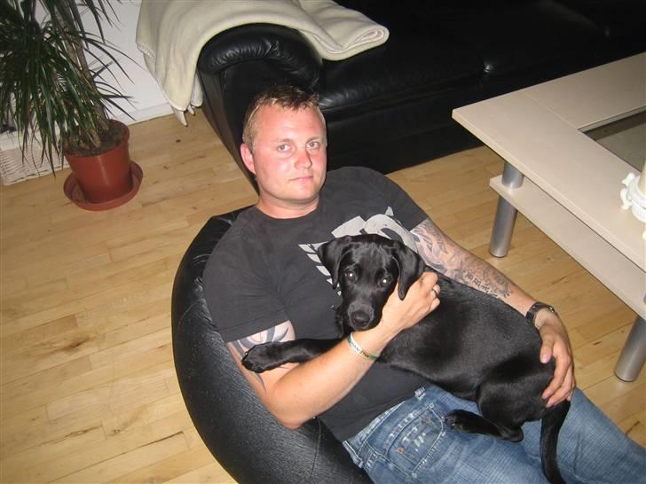 Labrador retriever Zenta - 17-08-2008 billede 12