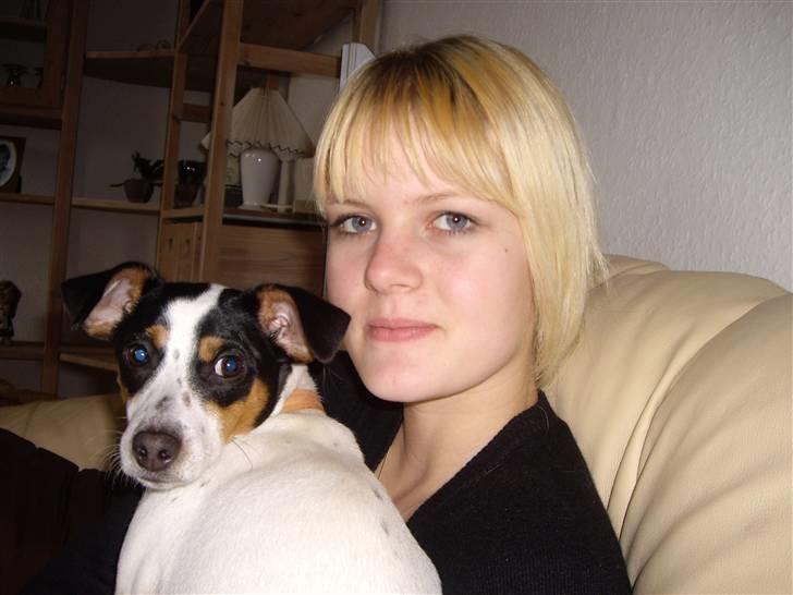 Dansk svensk gaardhund Vaks billede 19