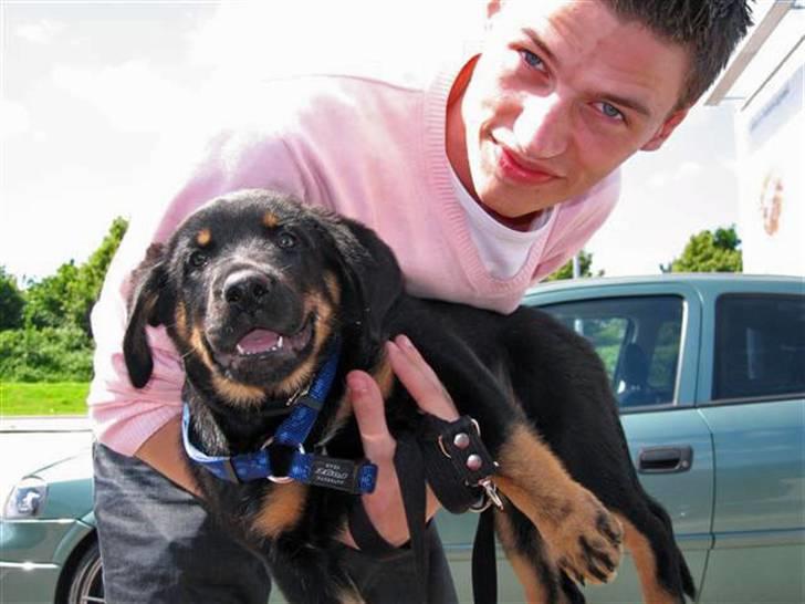 Blanding af racer Enzo billede 10