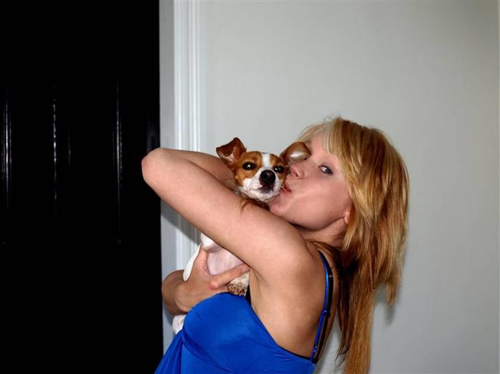 Jack russell terrier » Haldumlunds My Shela « - Det kan iKKE beskrives hvor meget jeg <3 den hund!  billede 17