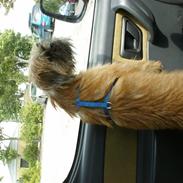 Blanding af racer emma