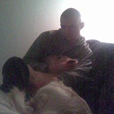 Golden retriever Bobbi