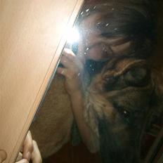 Schæferhund Falkøens Ø-Bjørk