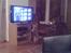 Border terrier Lutra's Belle - Belle ser Americas Funniest Homevideos :D