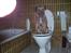 Border terrier Lutra's Belle - Belle fik lige lyst til at gå på toilettet? xD (Beklager fingeren i venstre hjørne)