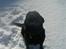 Labrador retriever Donnovan R.I.P.