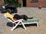 Labrador retriever Berta<´3(Aflivet)R.I.P:'( - 6) Sol (; Foto: mig