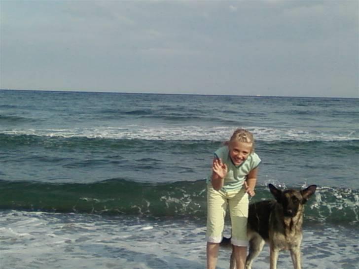 Schæferhund Sally - Her er det mig og Sally sidste år, da vi var i skagen :D billede 1