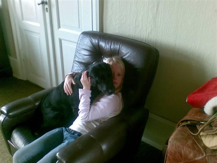 Labrador retriever Chili *formel 1* - Mig ( som 9 årig ) & Chili :-D billede 15