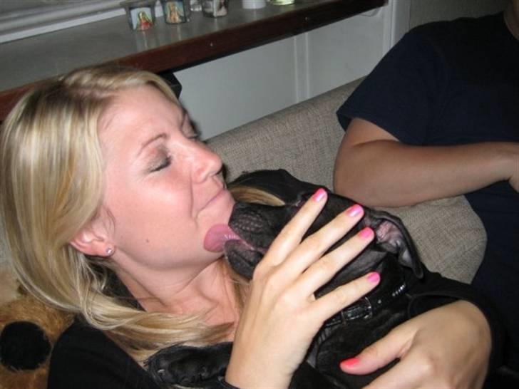 Staffordshire bull terrier Tiger billede 18