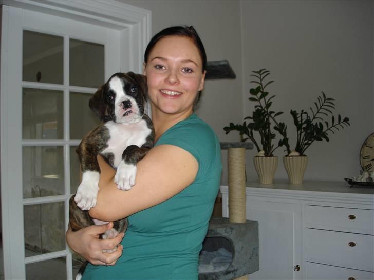 Boxer Nanna - Nanna og mor ca. 10 uger gammel billede 1
