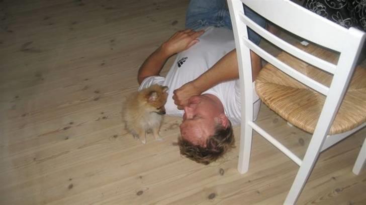 Pomeranian Emma - Svigerfar og Emma billede 5