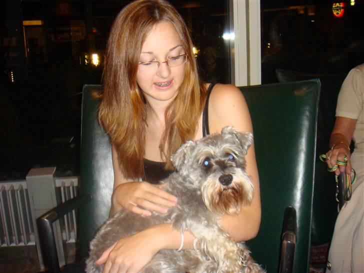 Dvaergschnauzer Andrea - På Nyborg strand, et fint hotel farmor og farfar holdt fødselsdag. Miig og Andrea om aftenen. ;) billede 12