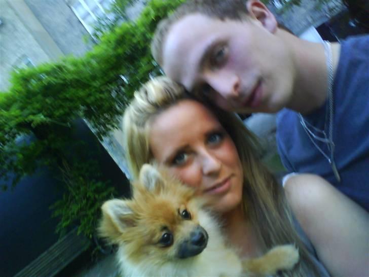 Pomeranian Emma - Emma, min skattermand & jeg billede 20