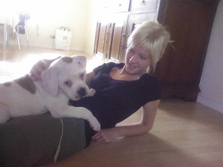 Amerikansk bulldog Trunte - Hygge med mor :D billede 11