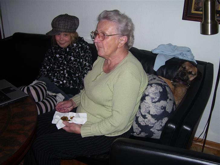 Border terrier Lutra's Belle - Haha, det her billede er fantastisk... Jeg sagde fantastisk, ikke godt. ;) Min mormor, min lillesøster og Belle - og de ser alle sammen mega sjove ud. :D billede 5