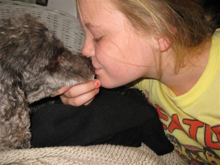 Mellempuddel Mille - giver du et kys? billede 2