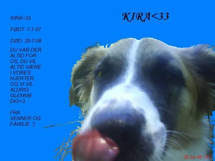 Blanding af racer Kira Cooper *R.I.P* - gravstens billede :´( billede 19