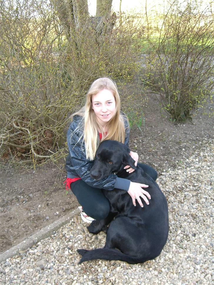 Labrador retriever Donnovan R.I.P. - mig og hunden sammen før min blå mandag:) billede 1