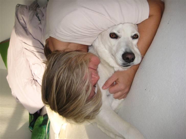 Blanding af racer Buffie billede 18