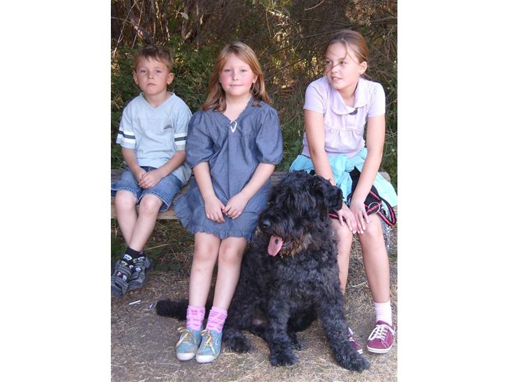 {{currentPhoto.altText}} billede {{currentPhoto.number}}