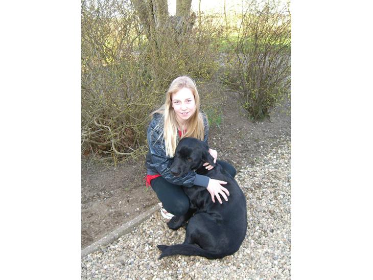 Labrador retriever Donnovan R.I.P. - mig og hunden sammen før min blå mandag:) billede 1