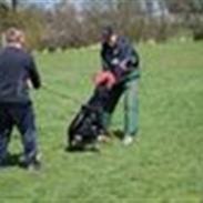 Rottweiler Basse 