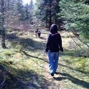 Blanding af racer Bianca