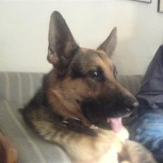 Blanding af racer splejs