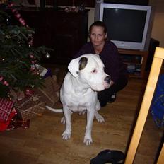 Amerikansk bulldog Jones