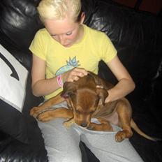 Blanding af racer Kjar. <3