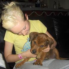 Blanding af racer Kjar. <3