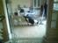 Border collie Bamse - Min mors