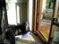 Labrador retriever Berta<´3(Aflivet)R.I.P:'( - 13)