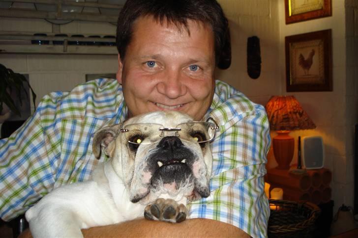 Engelsk bulldog frida billede 1