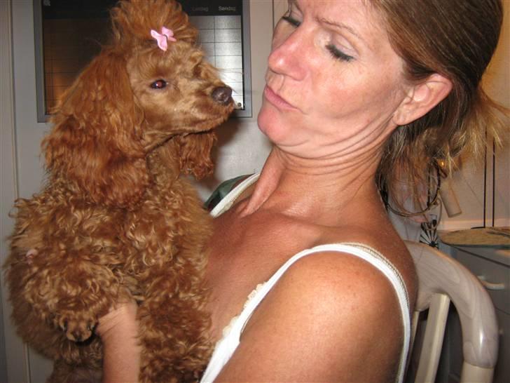 Dværgpuddel Sif  "Siffimus" - Sif ville elske at kysse min mor :) billede 2