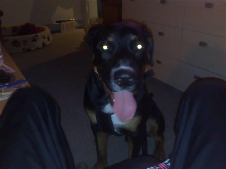 Blanding af racer Boss billede 1