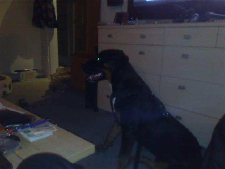 Blanding af racer Boss billede 3