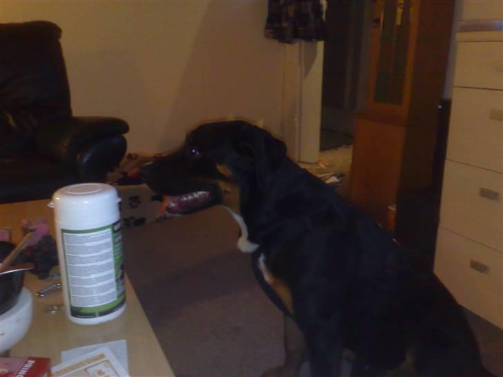 Blanding af racer Boss billede 4