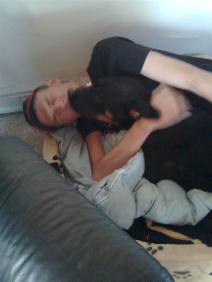 Blanding af racer Boss billede 5