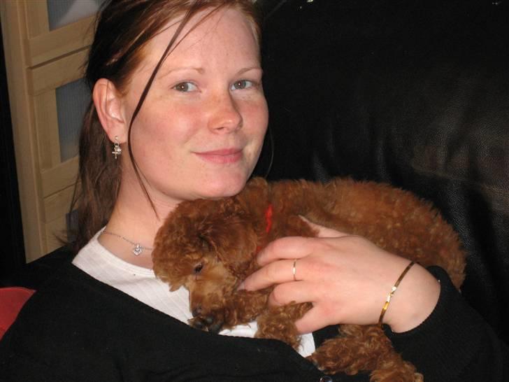 Dværgpuddel Sif  "Siffimus" - Mig og Sif, vi har lige hentet hende billede 8