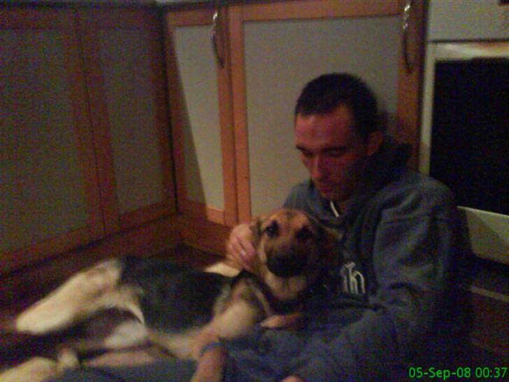 Blanding af racer Daisy billede 2