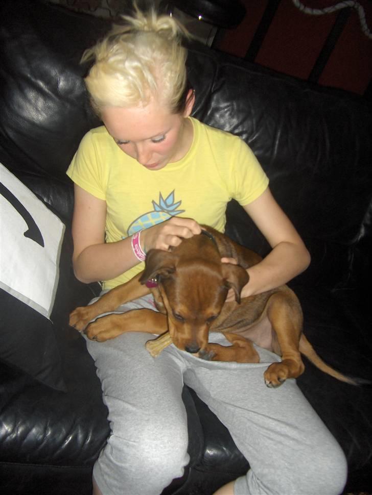 Blanding af racer Kjar. <3 billede 2