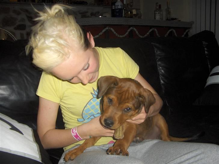 Blanding af racer Kjar. <3 billede 3