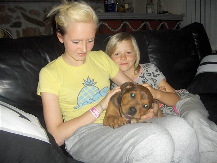 Blanding af racer Kjar. <3 billede 4