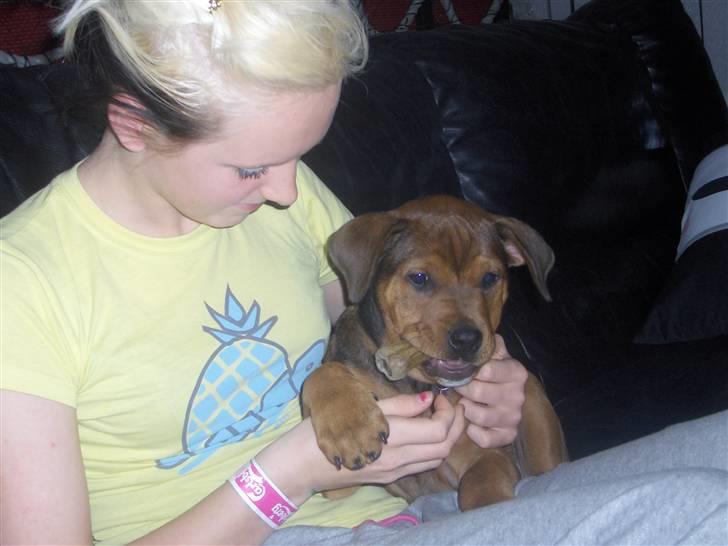 Blanding af racer Kjar. <3 billede 5