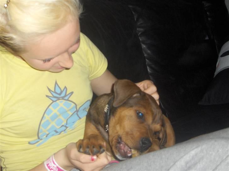 Blanding af racer Kjar. <3 billede 6