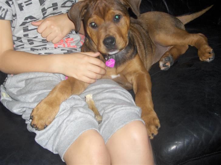 Blanding af racer Kjar. <3 billede 10