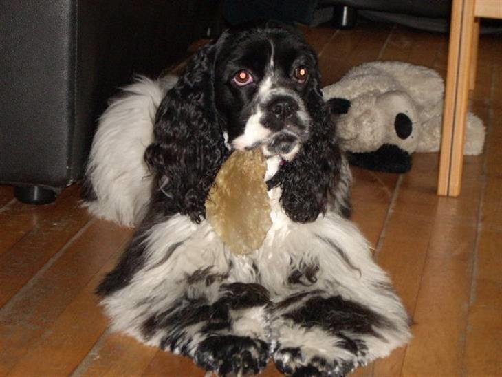 {{currentPhoto.altText}} billede {{currentPhoto.number}}